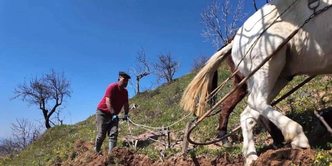 Ayda 240.000 TL kazandırıyor, kimse çalışmıyor: ’20 yıl içerisinde tamamen bitebilir’ 3